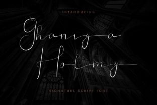 Evaluating Ghaniya Holmy for Your Next Design Project