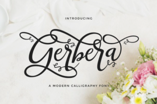 Gerbera: Sophisticated Script Font with Swashes and Ligatures