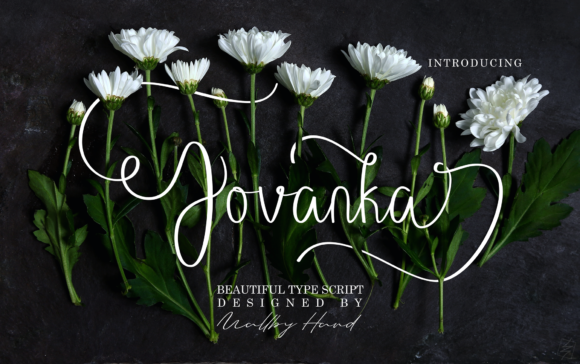 Jovanka: A Soft Hand-Lettered Script That Feels Personal