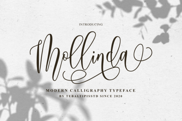 Mollinda: Where Elegance Meets Expression