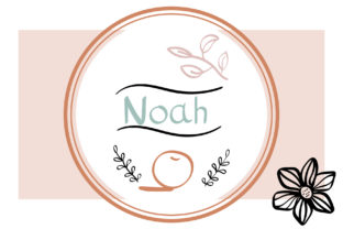Noah: The Simple and Friendly Script Font That Designers Are Quietly Rallying Around