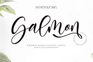 Salmon: A Modern Script Font with Decorative Charm