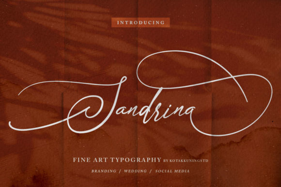 Sandrina Font: Classic Calligraphy for Modern Designers