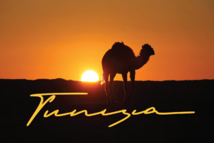 Tunisia: The Strategic Value of an Elegant Script Font in Modern Branding